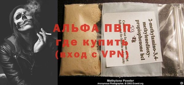 spice Бородино