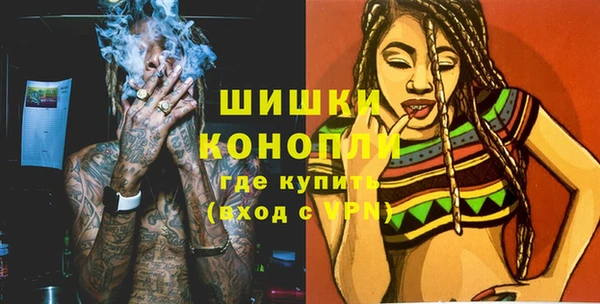 spice Бородино