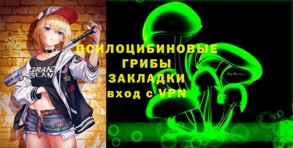 spice Бородино